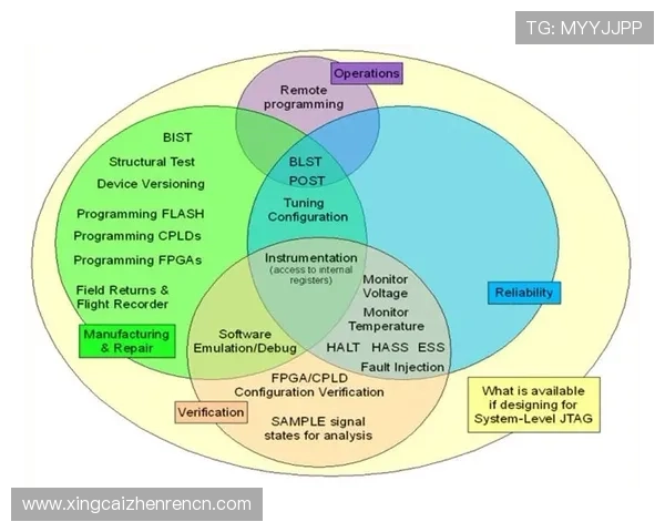 俄罗斯娱乐ag视讯游戏公平性保障措施与玩家权益维护策略